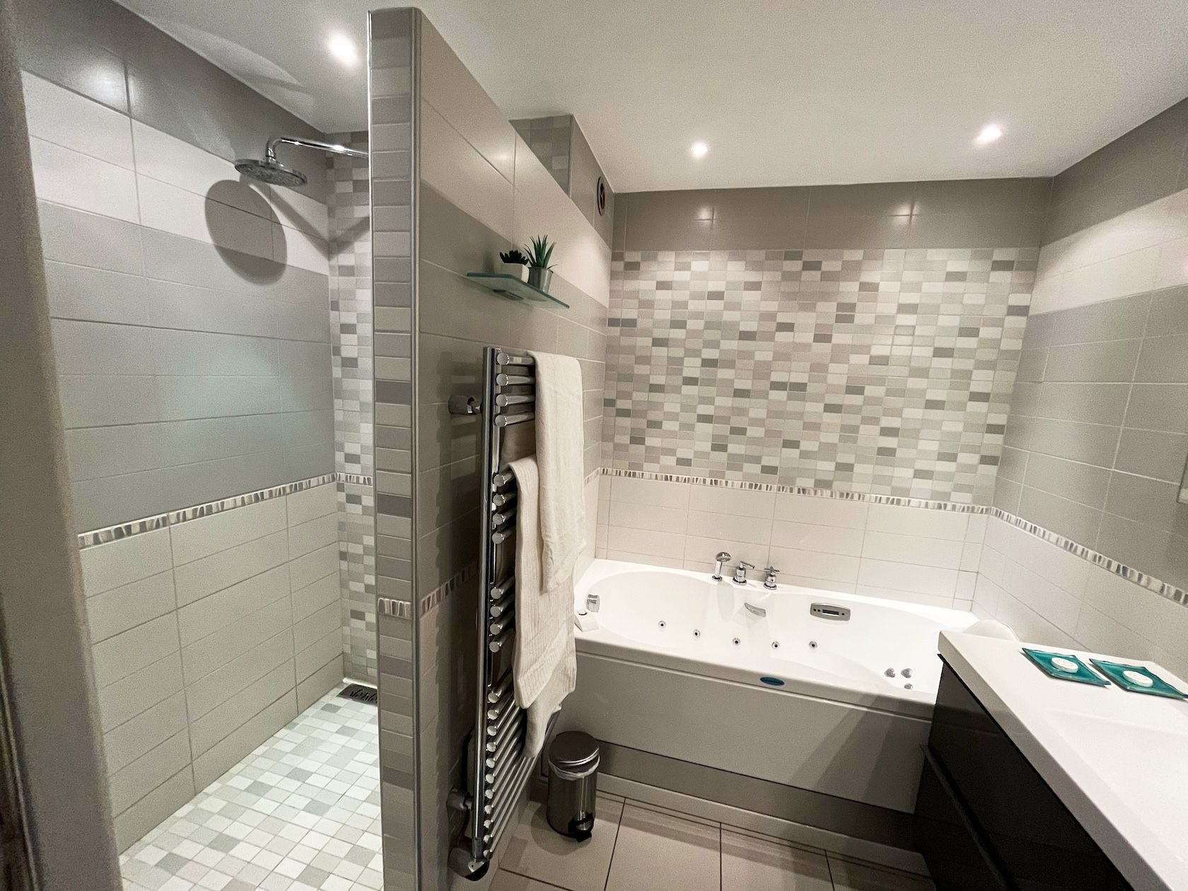 Bathroom with walk-in shower and bathtub