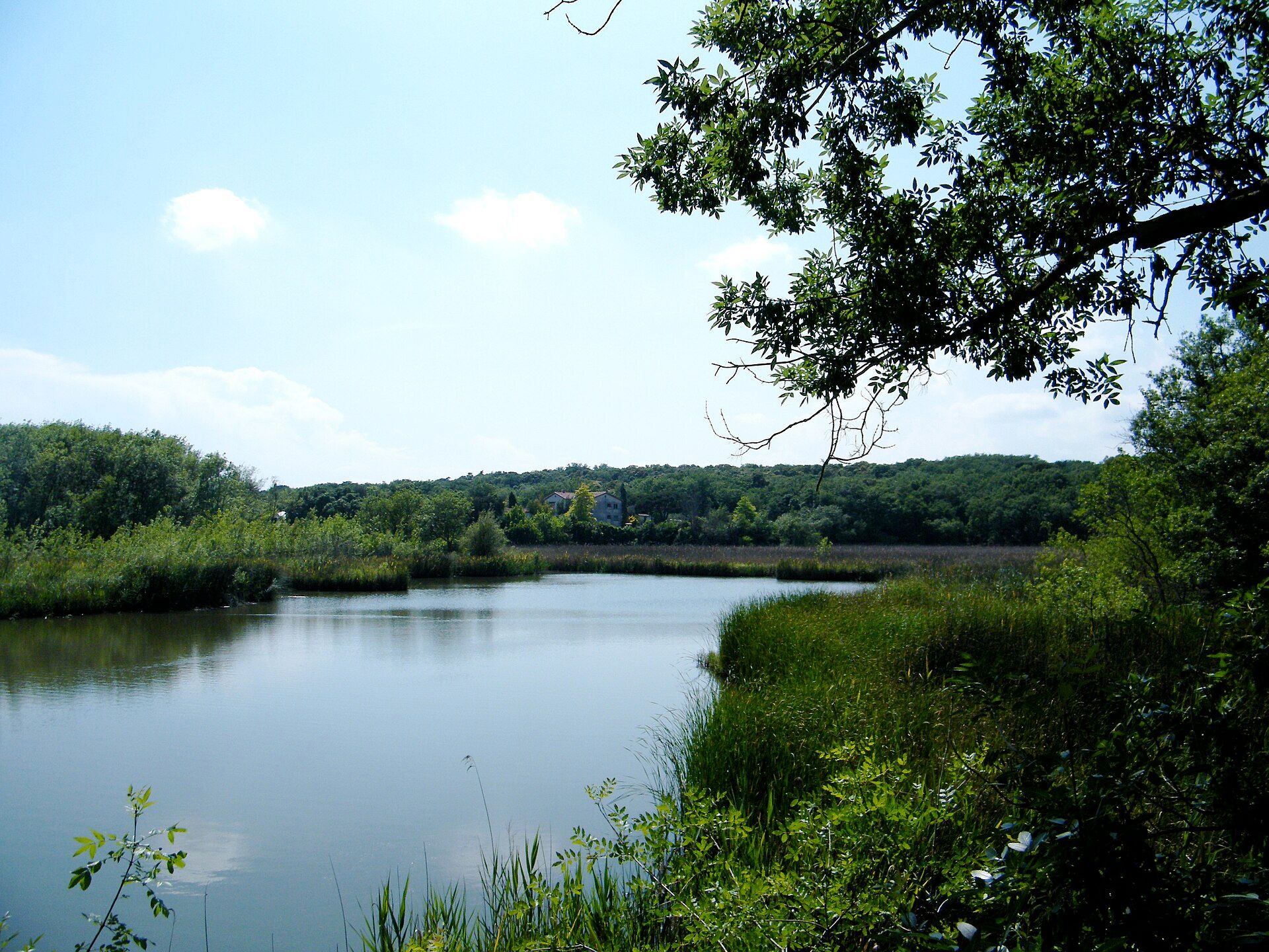The pond in the Parc de Vaugrenier